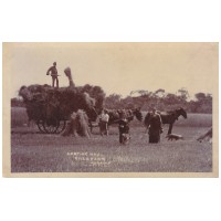 Carting hay at Gills farm