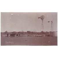 Windmills, horses and sheep at Cadgy Station 1907