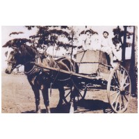 Carting water by horse and buggy